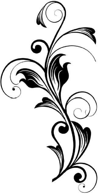 Roža